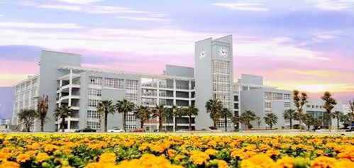 温州科技职业学院与襄阳汽车职业技术学院的交流学习之旅