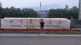 德源于心 技专于勤 全面解析温江区燎原职业技术学校与襄阳汽车职业技术学院数控机械汽修专业