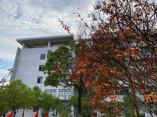 安徽汽车职业技术学院与襄阳汽车职业技术学院2022年报考指导